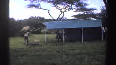Nigeria (1969): Men Working In Large Grassy Outdoor Space And One Carries Hay To A