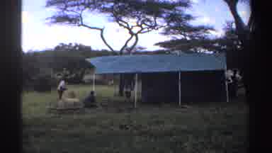 Nigeria (1969): Men Working In The Field A Blue Cloth Roof With White Pipes