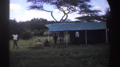 Nigeria (1969): People Setting Up And Repositioning Large Army Green Tent