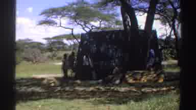 Nigeria (1969): Of People Who Are Trying To Build A Roof With A Tarp Probably To