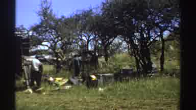 Nigeria (1969): Men Unload Walk And Organize Camp Under Some Trees