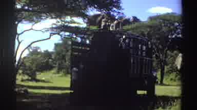 Nigeria (1969): Men In The Woods Unloading Trucks Surrounded By Trees