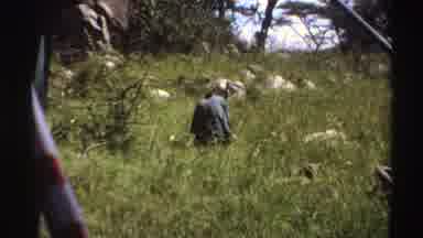 Nigeria (1969): Man Hitting Something On The Ground In The Middle Of The Nature