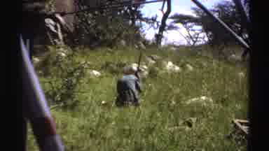 Nigeria (1969): Skinny Farmers Are Working In The Fields Digging The Ground And