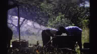 Nigeria (1969): Four People Cooking In The Field Where There Are Many Green Plants
