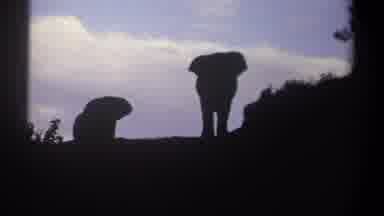 Kenya (1969): Two Dark Silhouettes Of Elephants In The Wild Day Time But The Sun
