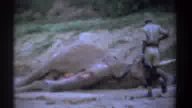 Kenya (1969): Park Ranger Walks Towards Carcass On Ground Of Dead African Elephant