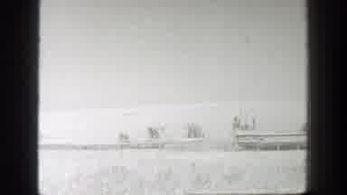 California (1939): Combines Lined Up In A Wheat Field Harvest Grain While Farmers