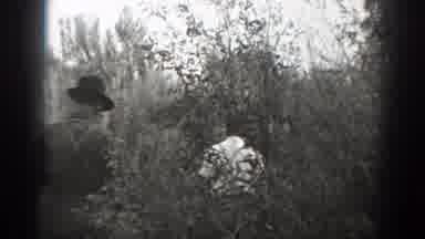 California (1939): Men Walking In Nature Through Bushes And One Man Smoking At The