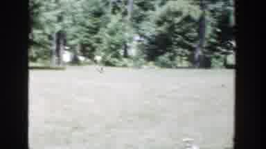 Wisconsin (1953): Panoramic Video Of A Backyard From Left To Right During The Day