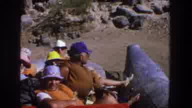 Utah (1969): Boat Ride For Tourists In A Beautiful Lake Enclosed With Scenic