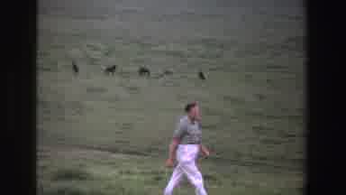 South Africa (1969): Man Wearing White Pants Walks Through Green Field On A Clear