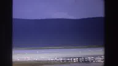 South Africa (1969): People Watching Nature In Inst Habitat As Animals Roam Freely