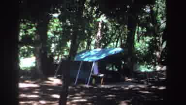 South Africa (1969): A Camping Site In The Middle Of The Woods With Two Spacious