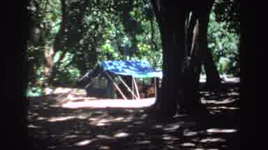 South Africa (1969): Wooden House In The Middle Of A Forest Covered By Trees And