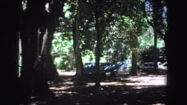 South Africa (1969): Panoramic View Of The Forest Cars Parked Under Trees