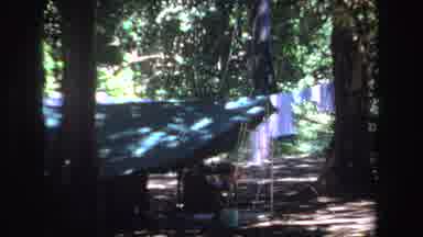 South Africa (1969): View Of Blue And Green Tent Near Tree On A Sunny Day