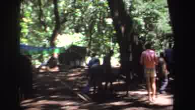 South Africa (1969): A Group Of People Enjoying A Picnic In A Sunny Day
