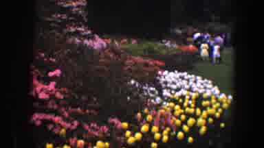 Baltimore Maryland (1960): People In Specific Groups Near A Field Of Beautiful