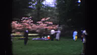 Baltimore Maryland (1960): People Gathered In Grassy Park Surrounded By Plants And