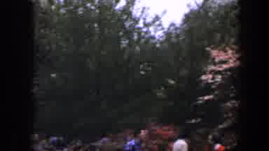 Baltimore Maryland (1960): People Walking Past Blooming Cherry Blossom Trees On A