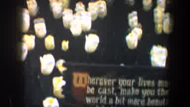 Baltimore Maryland (1960): Yellow Tulips Pink Flowers On Tree Sign Make The World