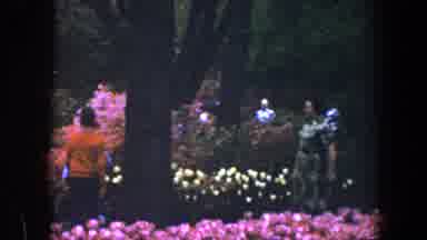 Baltimore Maryland (1960): Women Strolling In The Park Admiring The Flowers