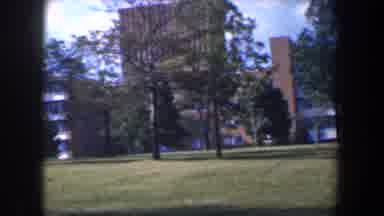 Baltimore Maryland (1960): Brown Tall Buildings With A View Of Trees On A Sunny