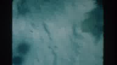 Nassau Bahamas (1961): Footage Filmed With Underwater Camera Of Structures And