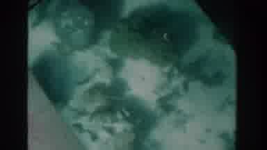 Nassau Bahamas (1961): Video Footage Of The Seabed On A Glass Bottom Boat Tour
