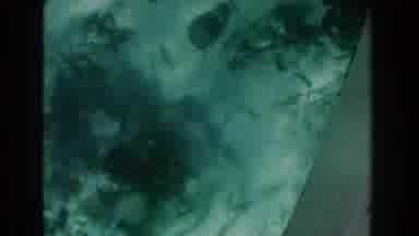 Nassau Bahamas (1961): Little Fishes Swimming In Water Looking Food Fishes