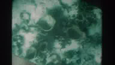 Nassau Bahamas (1961): Shallow Sea Exploration Of Reefs From A Sub Camera
