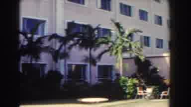 Nassau Bahamas (1961): The Grounds And Palm Trees Of A Tropical Hotel Destination