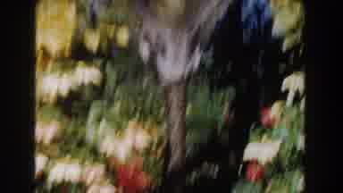 Nassau Bahamas (1961): A Woman Posing For A Picture With A Garden Background