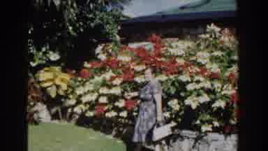 Nassau Bahamas (1961): Grandma Loves Looking At The Large Flowers In Front Of The