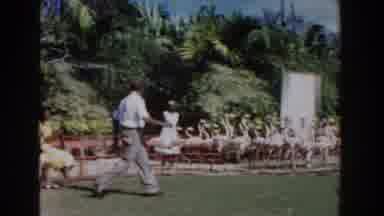Nassau Bahamas (1961): Person Wearing White Shirt Drives Flock Of Pink Flamingos