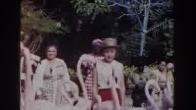 Nassau Bahamas (1961): Flock Of Pink Flamingos