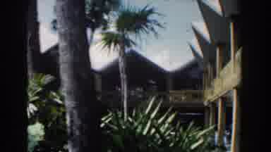 Nassau Bahamas (1961): Nassau Bahamas Landscape Nature Old Beautiful Unique Video
