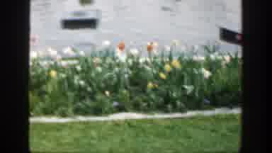 Cincinnatti Ohio (1949): Public Garden With Tulips And A Small Lake In Cincinnati