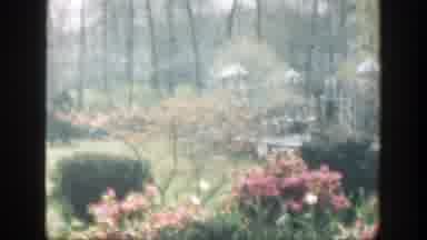 Cincinnatti Ohio (1949): A Muriel Site With Graves Beautified By Pink-Colored