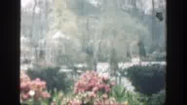 Cincinnatti Ohio (1949): Lush Botanical Gardens With Many Species Of Flowering