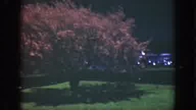 Cincinnatti Ohio (1949): A Car Drives Through The Streets To A Decorated Yard