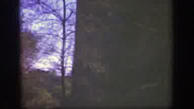 Cincinnatti Ohio (1949): Young Boy And Girl With Motherly Figure Dashing Them Off