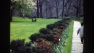Cincinnatti Ohio (1949): Two Kids Hurriedly Walking Away On A Shrubbery Lined