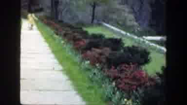 Cincinnatti Ohio (1949): View Of A Path In A Garden With Shores Full Of Flowers