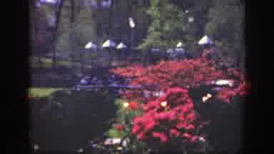Cincinnatti Ohio (1949): Flower Park Nature Trees Grass Open Area Sun Blue Sky