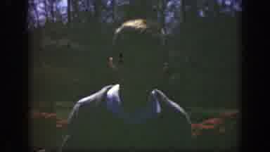 Cincinnatti Ohio (1949): Person Wearing Tan Jacket Stands In Front Of Blooming Red