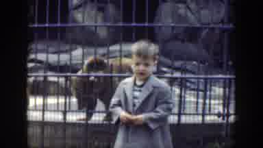 Cincinnatti Ohio (1949): Kids Watching Bear In The Zoo