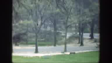 Cincinnatti Ohio (1949): A Park With Beautiful Trees And An Asphalt Track In The