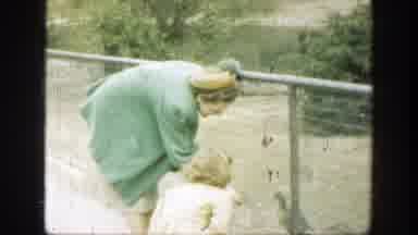 Cincinnatti Ohio (1949): Mother Feeds Mallard Ducks While Discussing It With Her